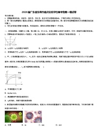 2026届广东省东莞市南开实验学校高考物理一模试卷含解析