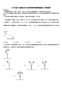 2026届广东省佛山市六校联考高考物理考前最后一卷预测卷含解析