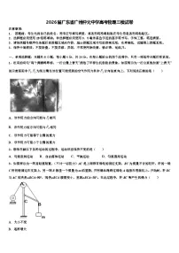 2026届广东省广州仲元中学高考物理三模试卷含解析