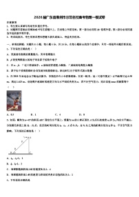 2026届广东省惠州市示范名校高考物理一模试卷含解析