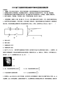 2026届广东省惠州市惠东高级中学高考仿真模拟物理试卷含解析