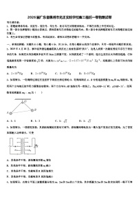 2026届广东省惠州市光正实验学校高三最后一卷物理试卷含解析