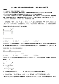 2026届广东省华附南海实验高中高三（最后冲刺）物理试卷含解析