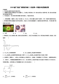 2026届广东省广州增城市高三3月份第一次模拟考试物理试卷含解析
