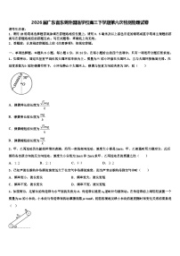 2026届广东省东莞外国语学校高三下学期第六次检测物理试卷含解析