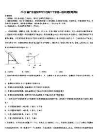 2026届广东省东莞市三校高三下学期一模考试物理试题含解析