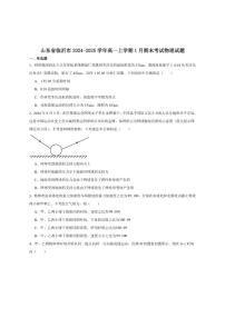 2024-2025学年山东省临沂市高一上学期期末学科素养水平监测物理试卷（有解析）