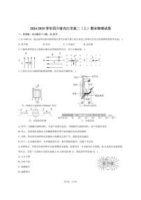 2024-2025学年四川省内江市高二（上）期末物理试卷（有答案）