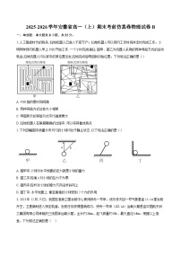 2025-2026学年安徽省高一（上）期末考前仿真卷物理试卷B-自定义类型