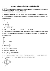 2026届广东省揭阳市重点名校高考仿真模拟物理试卷含解析