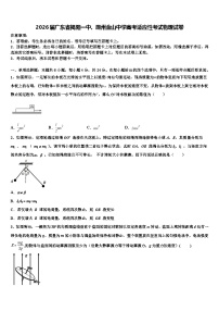 2026届广东省揭阳一中、潮州金山中学高考适应性考试物理试卷含解析
