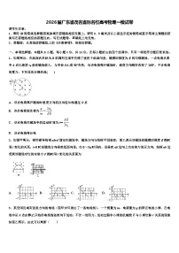 2026届广东省茂名省际名校高考物理一模试卷含解析