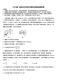 2026届广东省中山市实验中学高考仿真模拟物理试卷含解析
