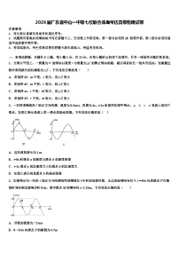 2026届广东省中山一中等七校联合体高考仿真卷物理试卷含解析