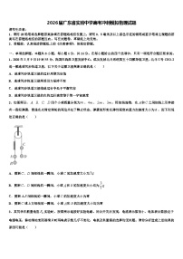 2026届广东省实验中学高考冲刺模拟物理试题含解析