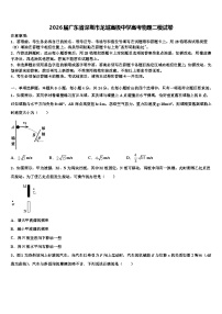 2026届广东省深圳市龙城高级中学高考物理二模试卷含解析(1)