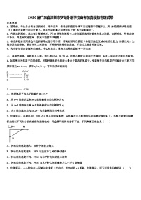 2026届广东省深圳市罗湖外语学校高考仿真模拟物理试卷含解析