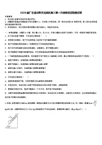2026届广东省深圳市龙岗区高三第一次调研测试物理试卷含解析