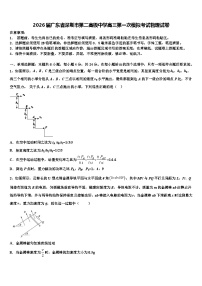 2026届广东省深圳市第二高级中学高三第一次模拟考试物理试卷含解析