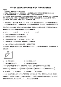 2026届广东省深圳实验学校高中部高三第二次模拟考试物理试卷含解析