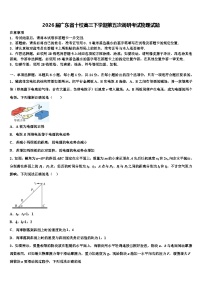 2026届广东省十校高三下学期第五次调研考试物理试题含解析