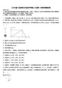 2026届广东省肇庆市实验中学高三六校第一次联考物理试卷含解析