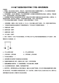 2026届广东省清远市重点中学高三下学期一模考试物理试题含解析