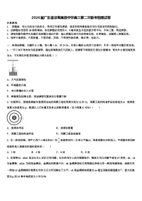 2026届广东省深圳高级中学高三第二次联考物理试卷含解析