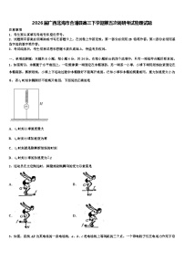 2026届广西北海市合浦县高三下学期第五次调研考试物理试题含解析