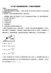 2026届广东省岭南师院附中高三二诊模拟考试物理试卷含解析