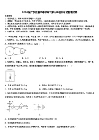 2026届广东省廉江中学高三第六次模拟考试物理试卷含解析