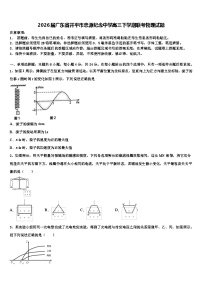 2026届广东省开平市忠源纪念中学高三下学期联考物理试题含解析