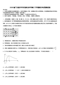 2026届广东省开平市忠源纪念中学高三下学期联合考试物理试题含解析
