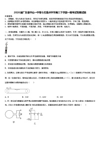 2026届广东省中山一中等七校重点中学高三下学期一模考试物理试题含解析