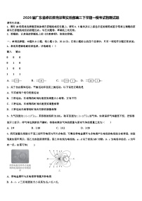 2026届广东省卓识教育深圳实验部高三下学期一模考试物理试题含解析