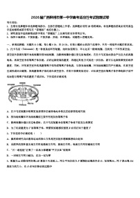 2026届广西柳州市第一中学高考适应性考试物理试卷含解析