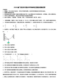 2026届广西玉林市重点中学高考仿真模拟物理试卷含解析
