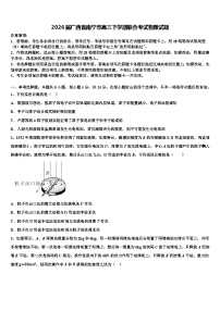 2026届广西省南宁市高三下学期联合考试物理试题含解析