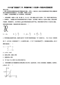 2026届广西省南宁二中、柳州高中高三3月份第一次模拟考试物理试卷含解析