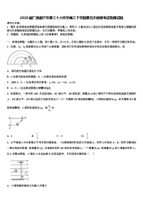 2026届广西南宁市第三十六中学高三下学期第五次调研考试物理试题含解析