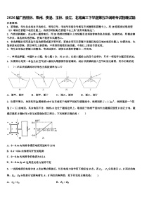 2026届广西桂林、梧州、贵港、玉林、崇左、北海高三下学期第五次调研考试物理试题含解析