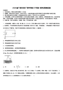 2026届广州天河区广州中学高三下学期一模考试物理试题含解析