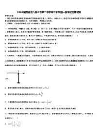2026届贵州省六盘水市第二中学高三下学期一模考试物理试题含解析