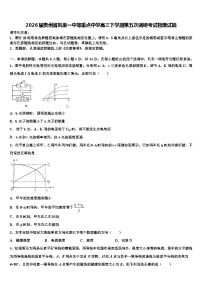 2026届贵州省凯里一中等重点中学高三下学期第五次调研考试物理试题含解析