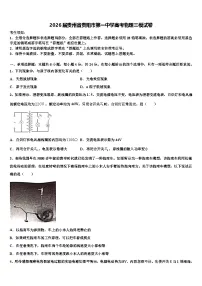 2026届贵州省贵阳市第一中学高考物理三模试卷含解析