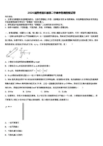 2026届贵州省长顺县二中高考物理四模试卷含解析