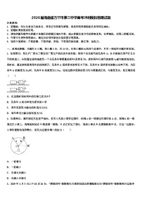 2026届海南省万宁市第三中学高考冲刺模拟物理试题含解析