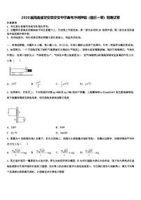 2026届海南省定安县定安中学高考冲刺押题（最后一卷）物理试卷含解析