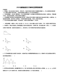 2026届海南省东方市高考仿真卷物理试卷含解析