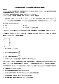 2026届海南省海口市四中高考临考冲刺物理试卷含解析